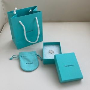 Tiffany & Co. Elsa Peretti Silver Star of David Pendant